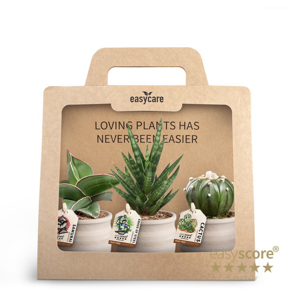 3-Pack Maceta, EasyCare, D 7