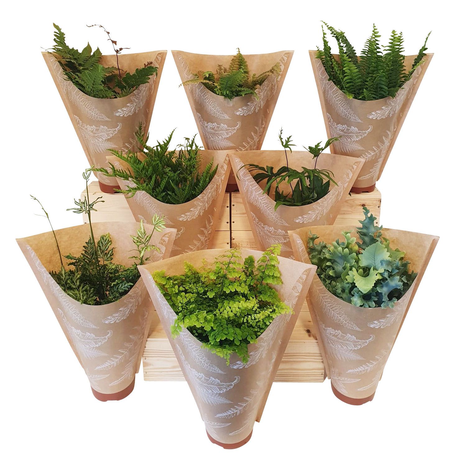 Varenmix in krafthoes, D 12