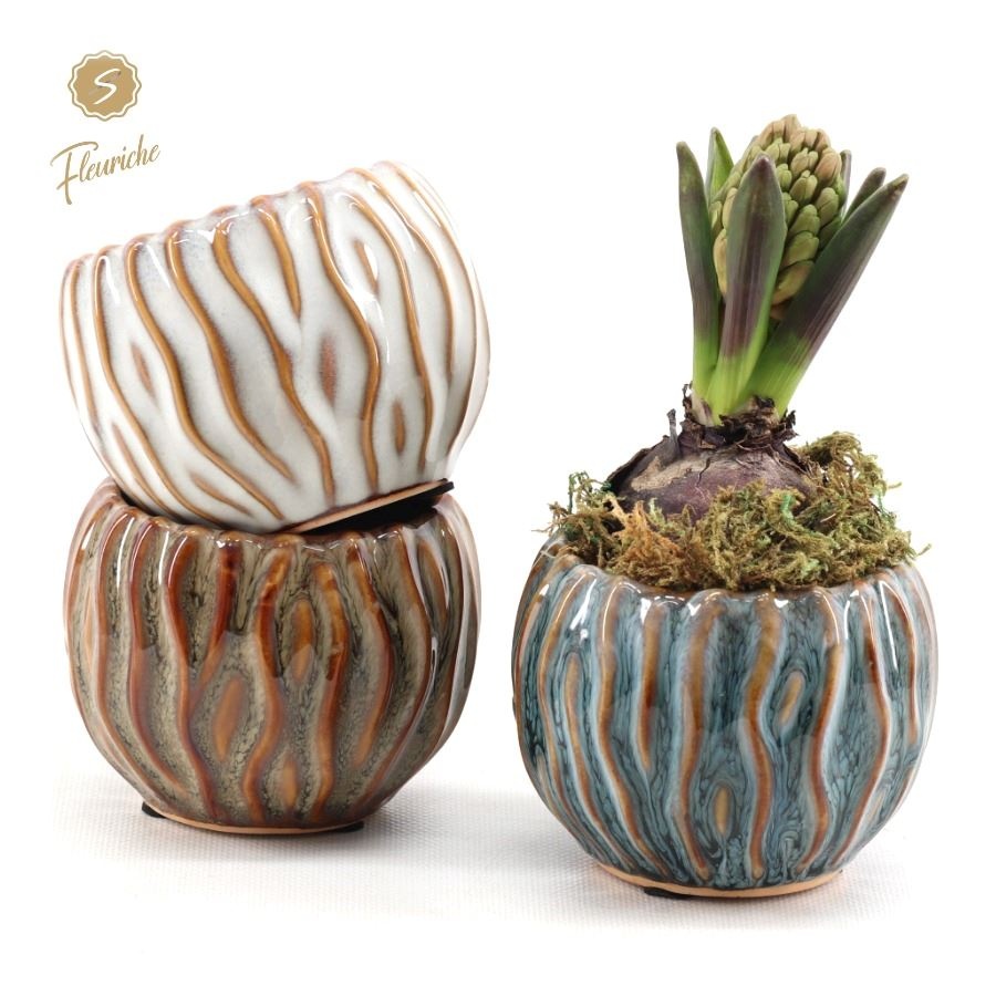 (1625) Hyacint Squiggle pot [M] 1PP Mos, D 9