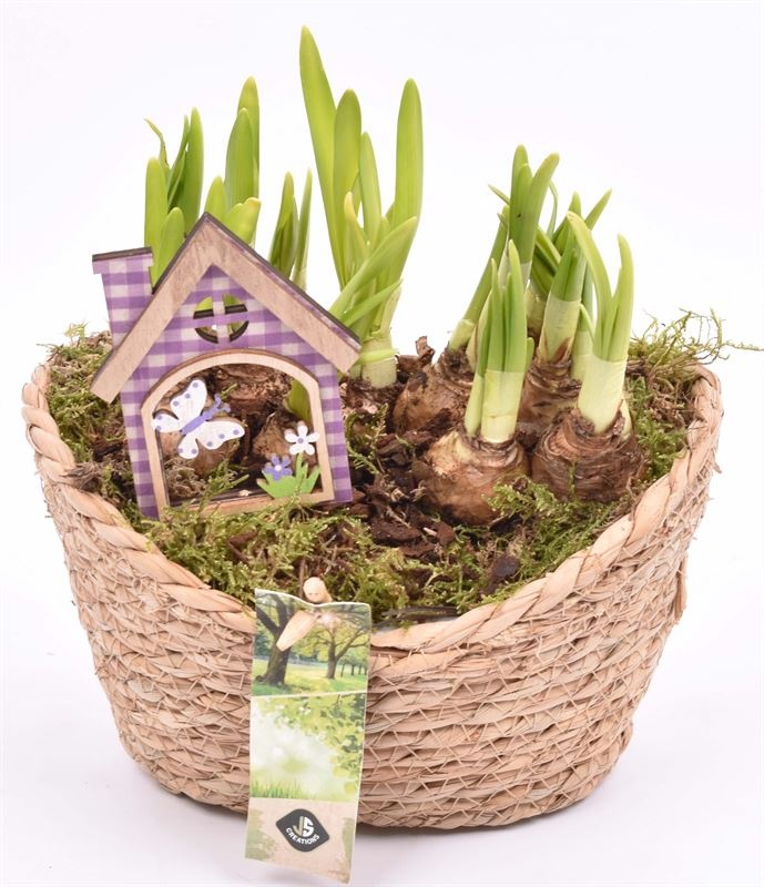 Touwmand ovaal 19x14cm, D 18