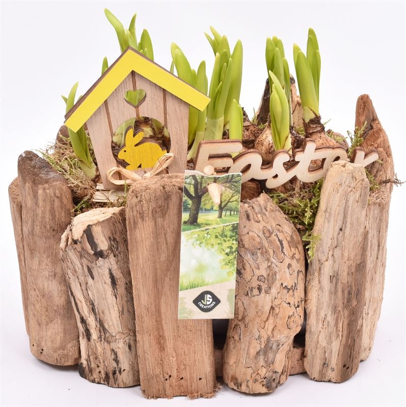 Druivenhout ovaal 21x14.5cm, D 21