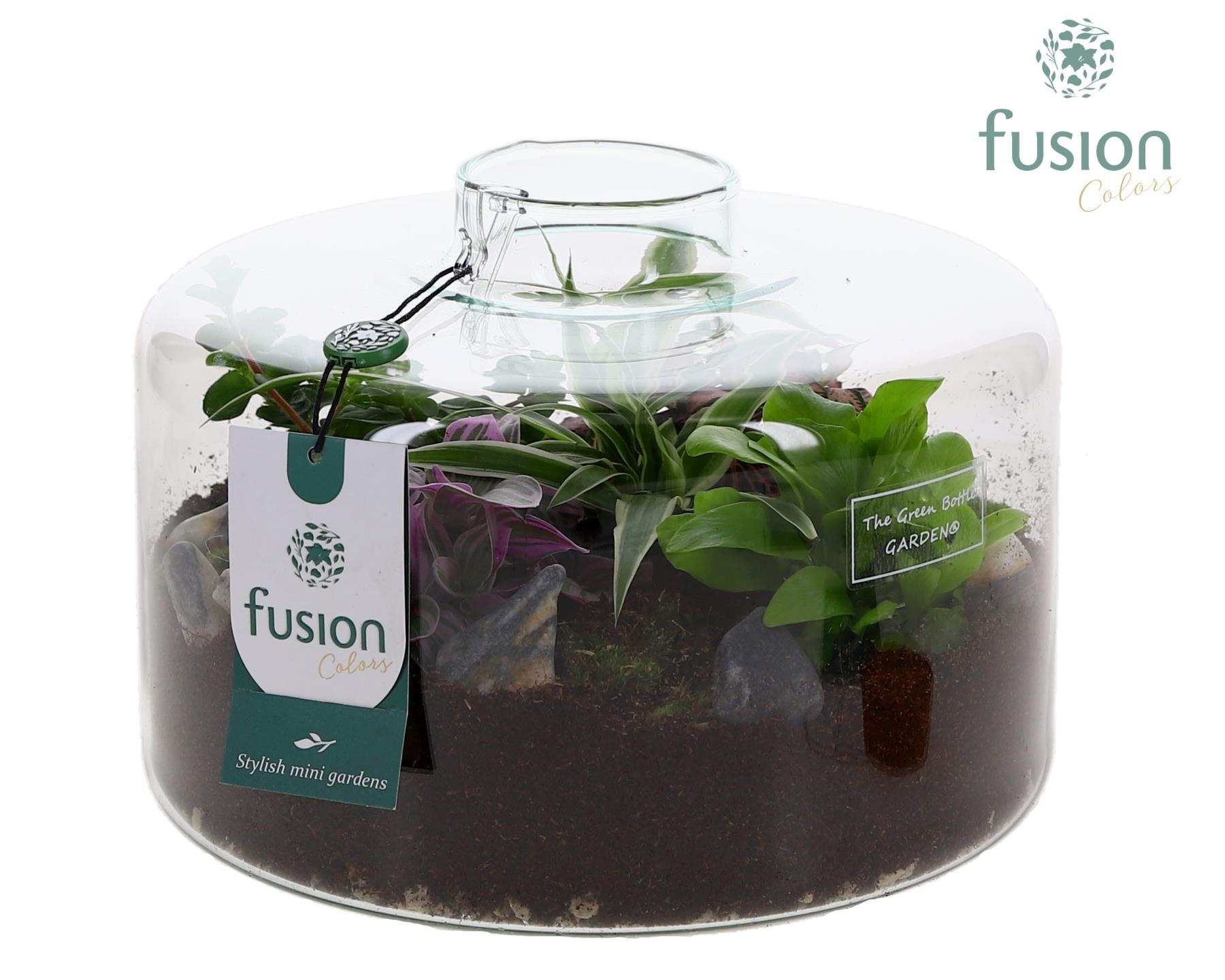 Green Bottle Kyra Large met arrangement, D 23