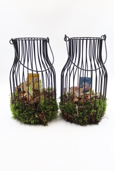 Bollen, lantaarn rond zwart; mix, D 17