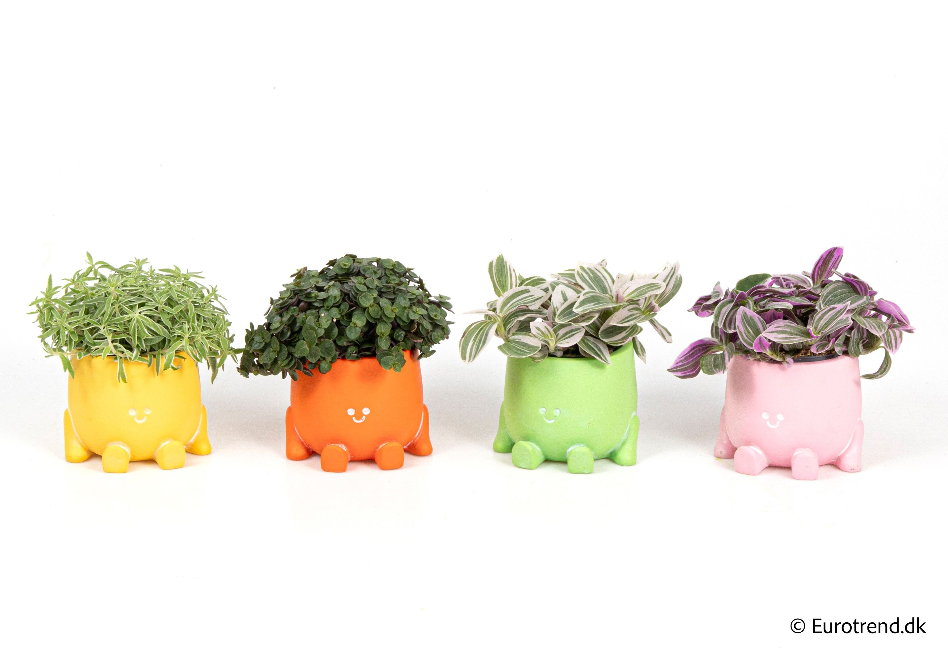 Green mix in ceramic - Spring, Summer & Autumn 2025, D 6