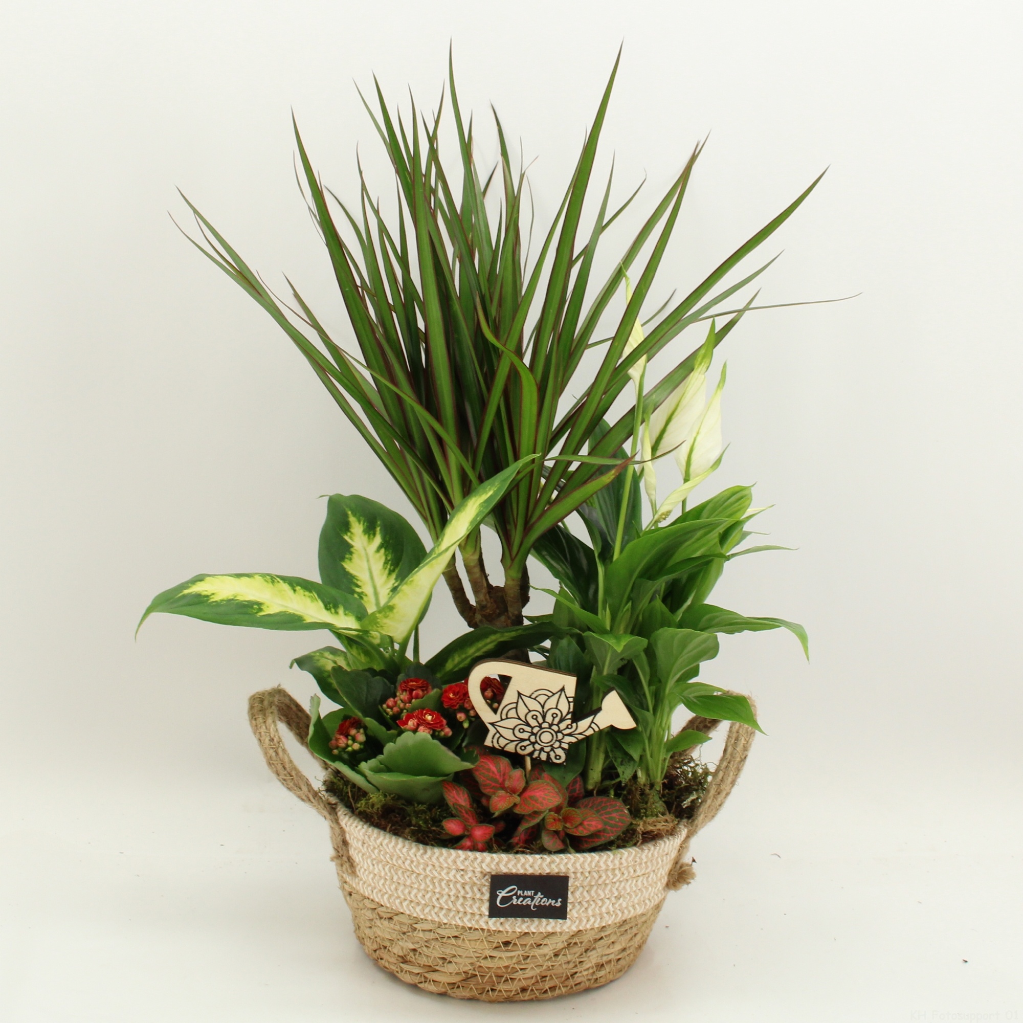 FDCR-2619R Basic Fundamentals, D 21