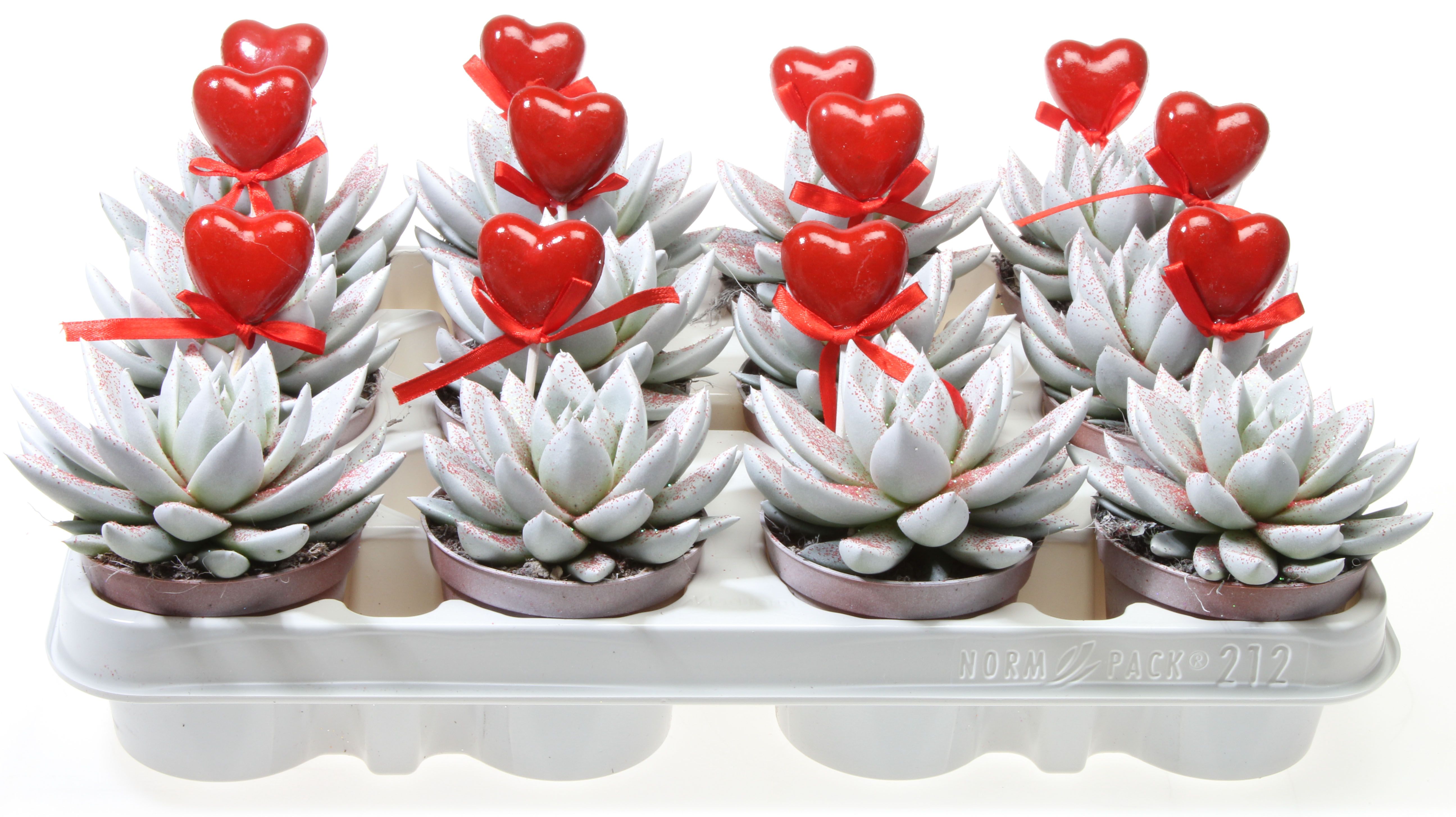 Miranda wit rode glitter + hartje, D 8,5