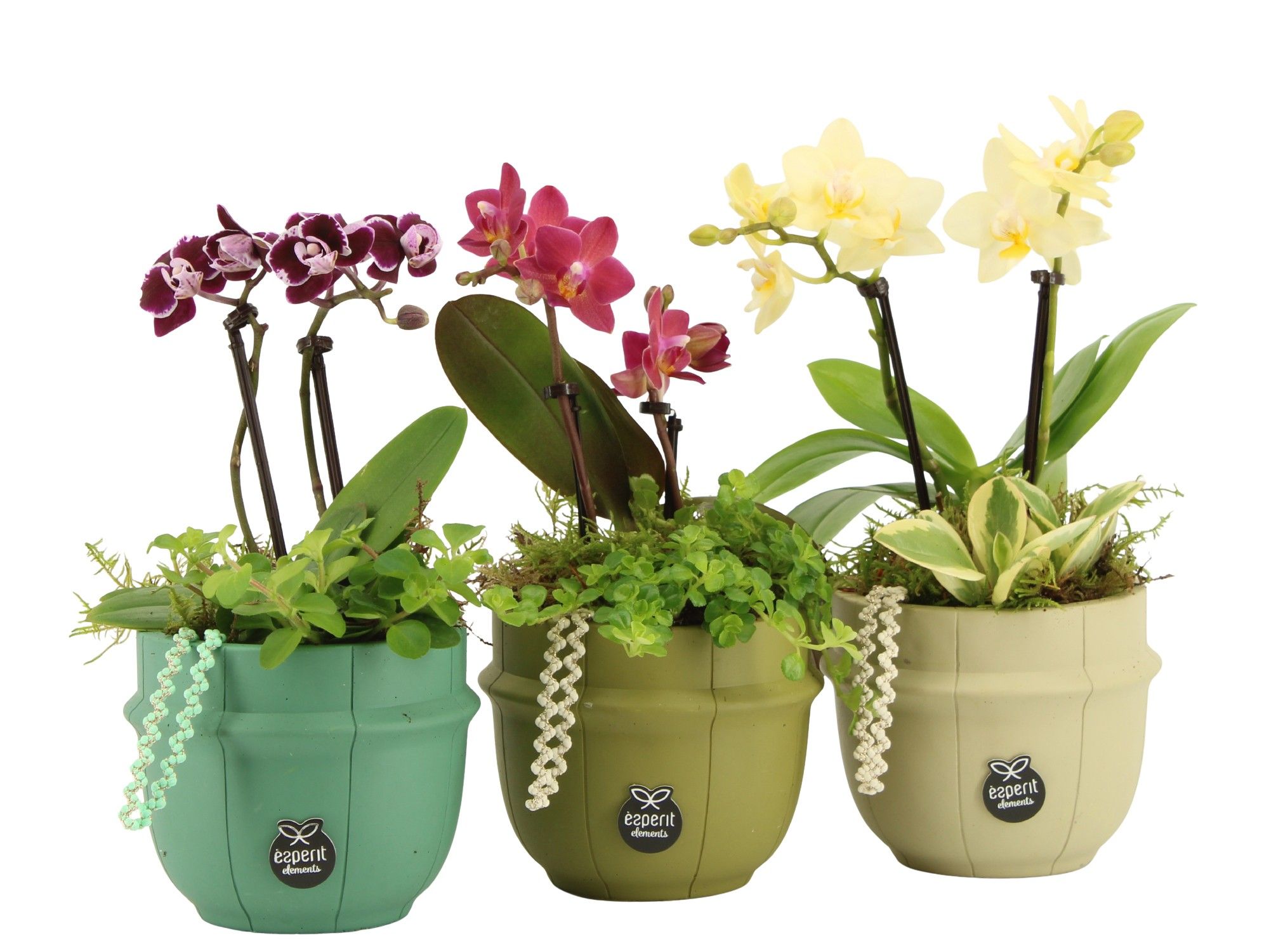 11608: Consideration arrangement, D 10