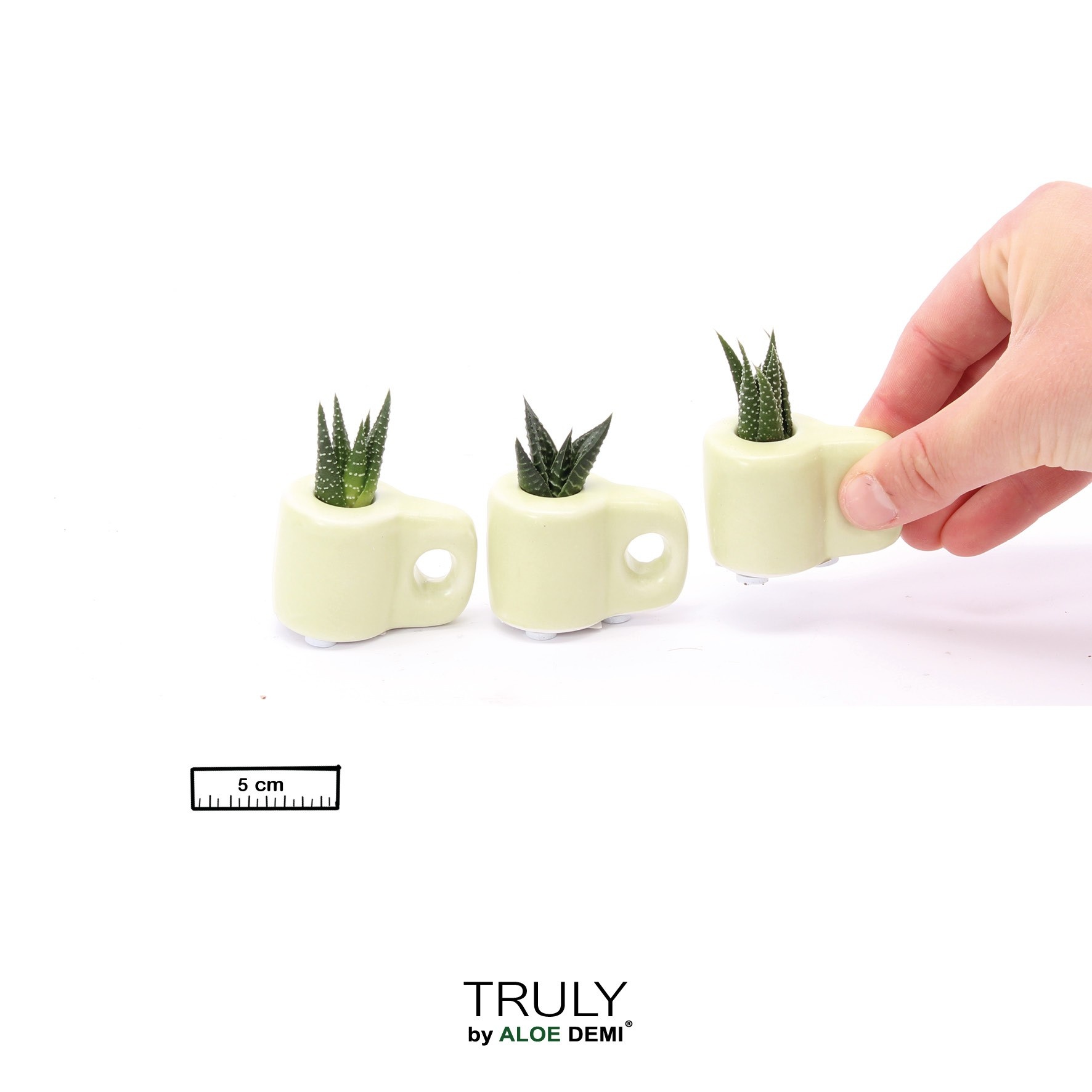 TRULY Succulent, Mug Green Mini, D 5