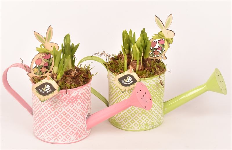 Zink gieter groen/roze 12cm, D 12