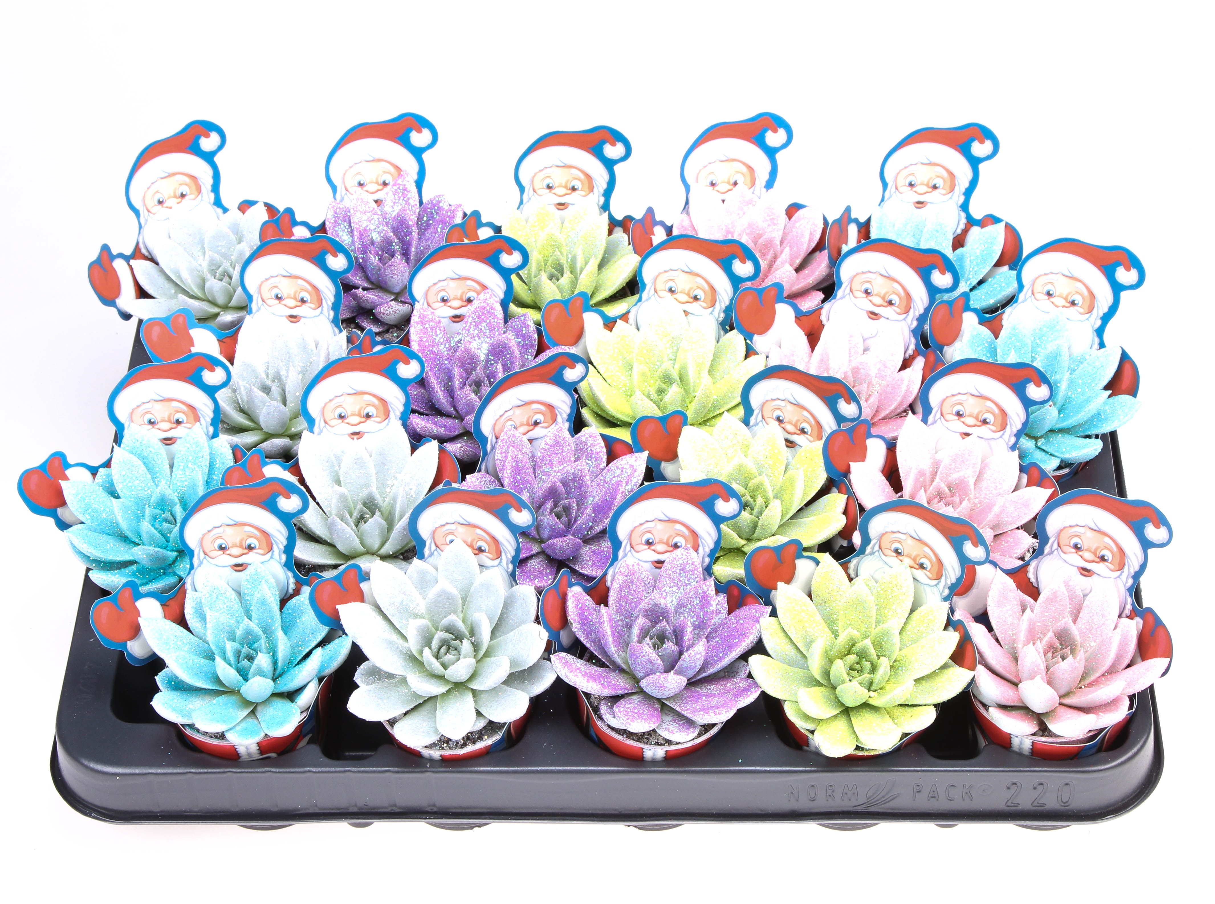 Potcover santaclaus wit + glittermix, D 5,5