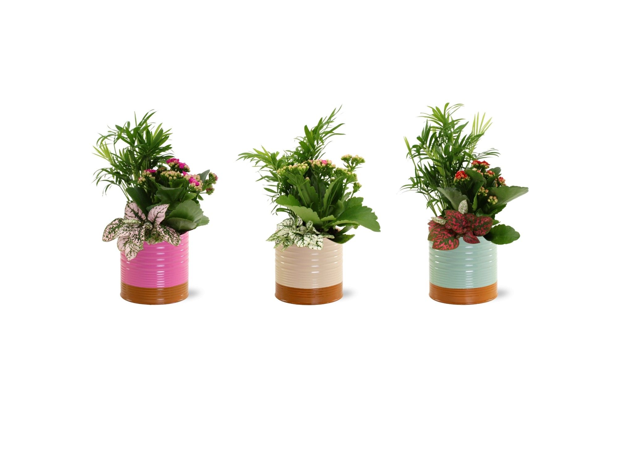 Collectie "Tasty Bubble" Arrangement in Nola Zink, D 13