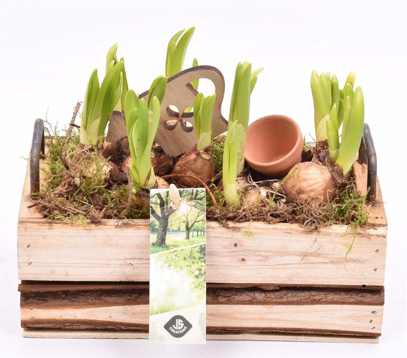 Hout rechth. met handvat 20x11cm, D 20