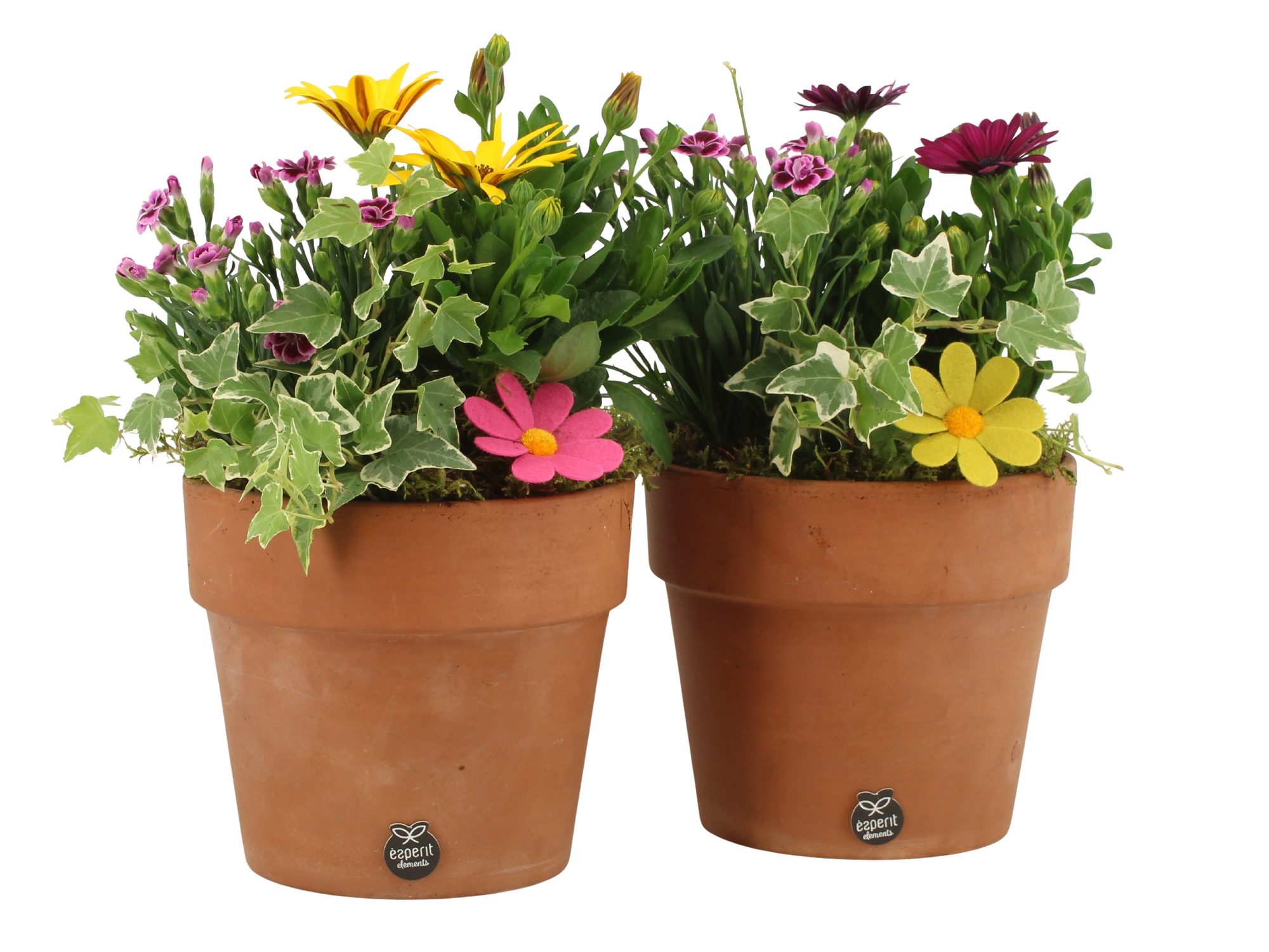 31695: Outdoor summer arrangement, D 17