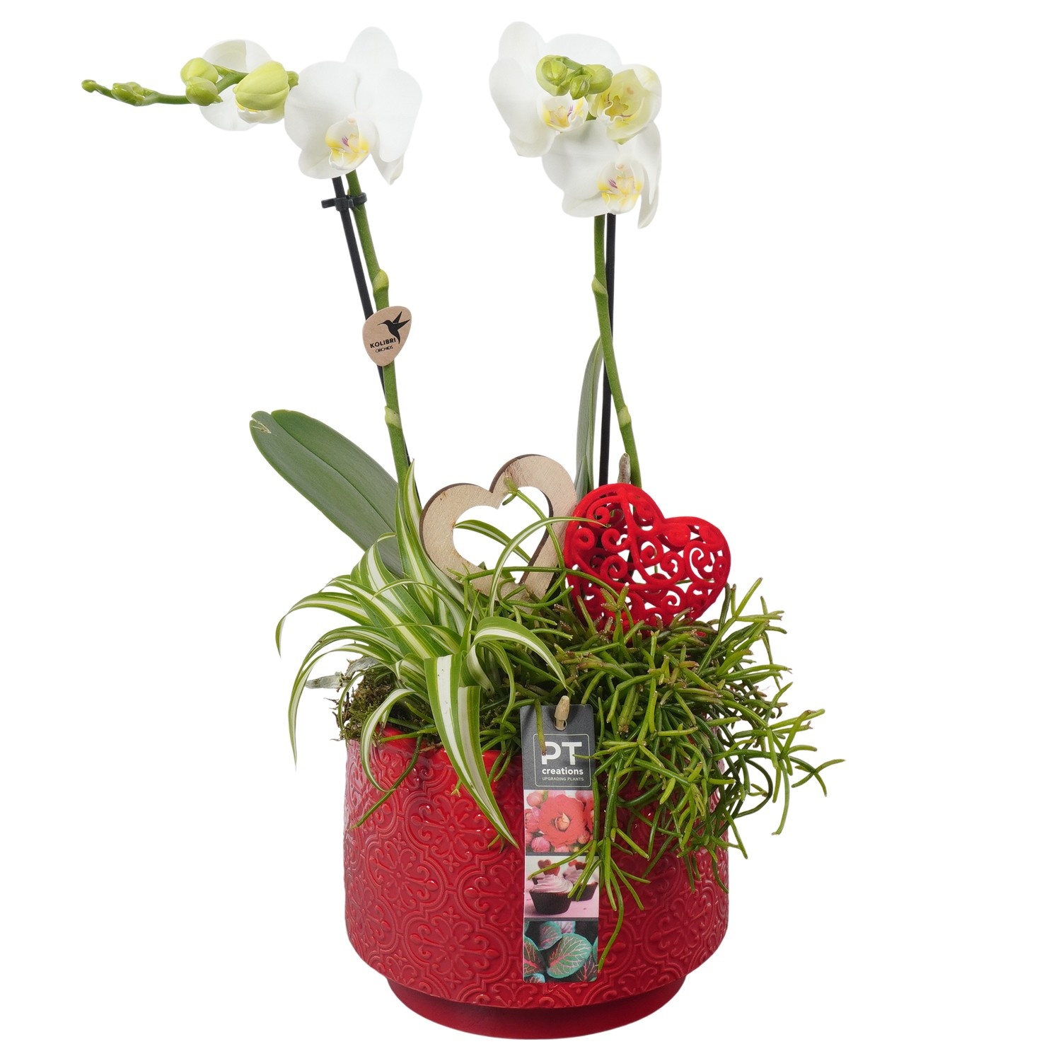 PTVMB2232 Arrangement Valentines-Mothersday in keramiek sierpot, D 17