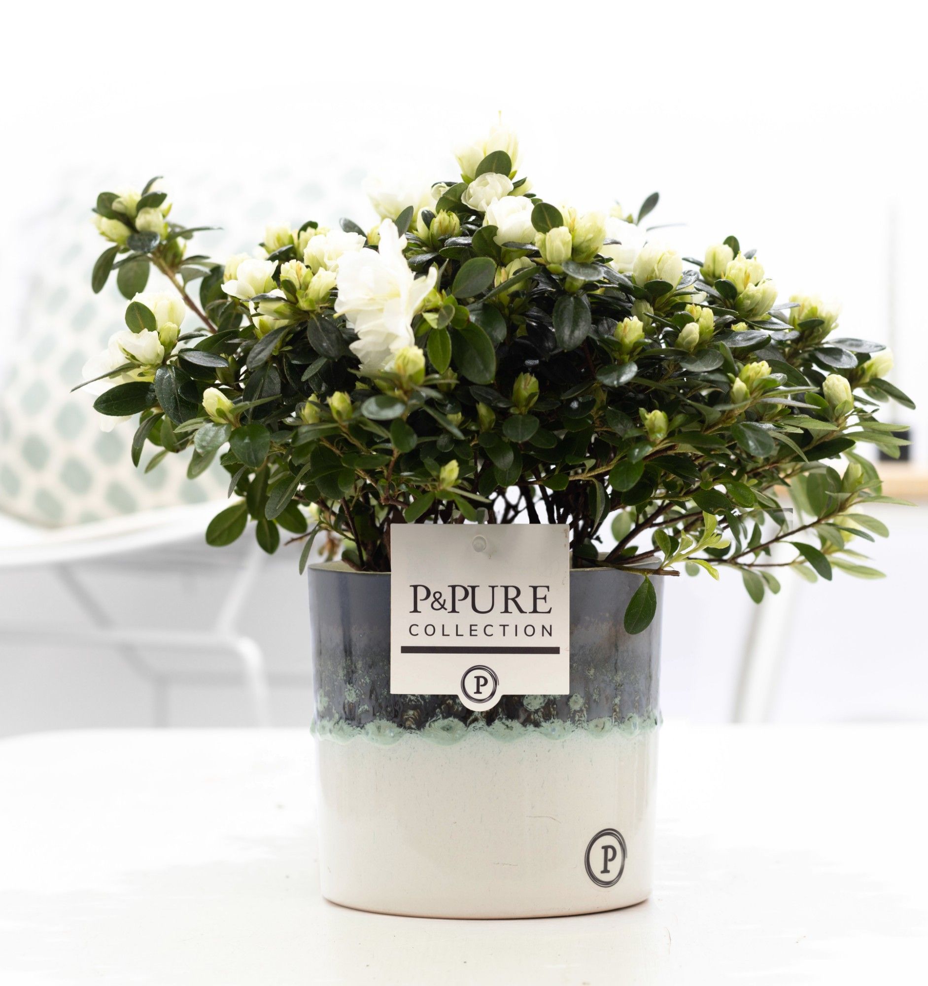 Azalea P&PURE Collection Illusion keramiek wit, D 12