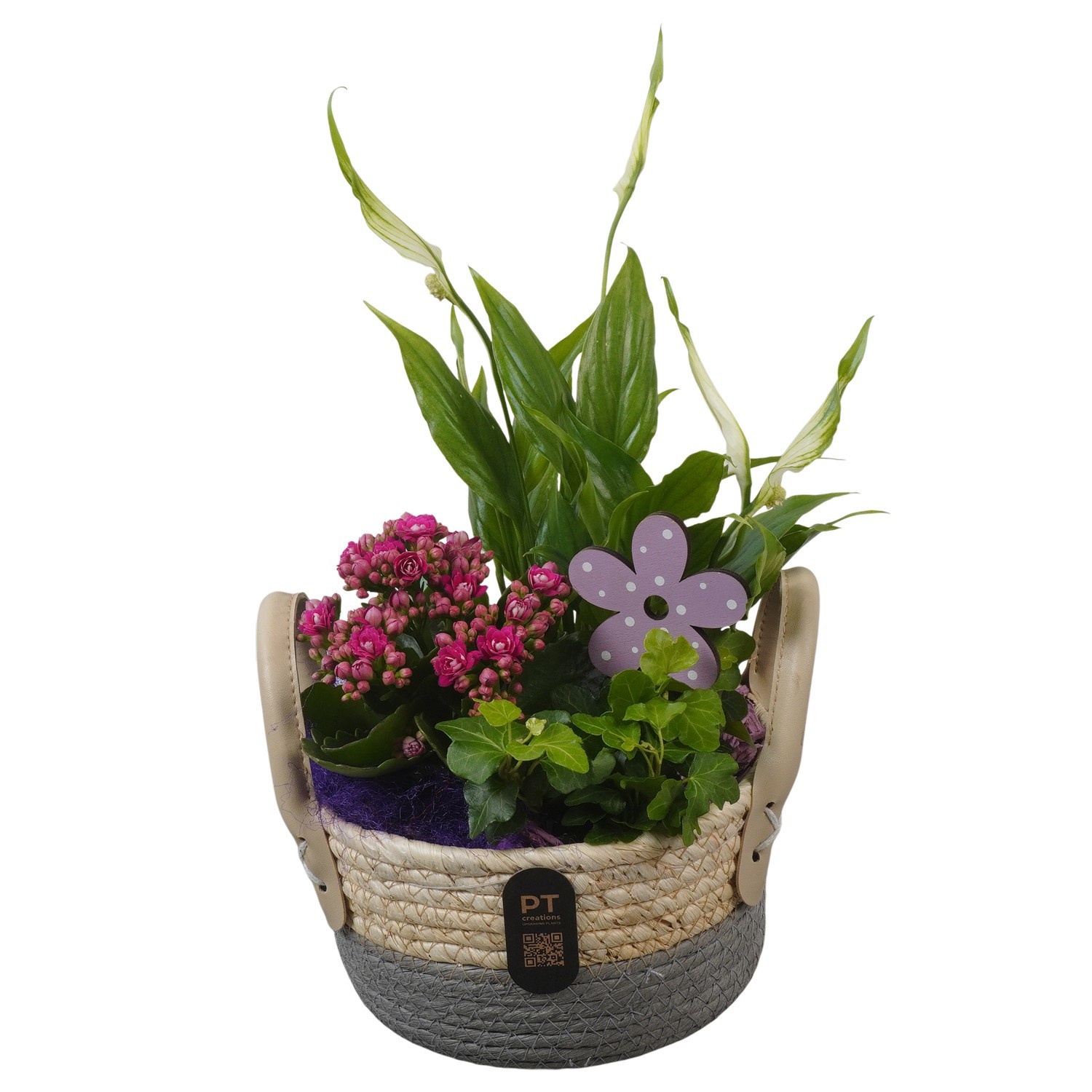 PTIB5230 Arrangement Indoor in rieten mand, D 17