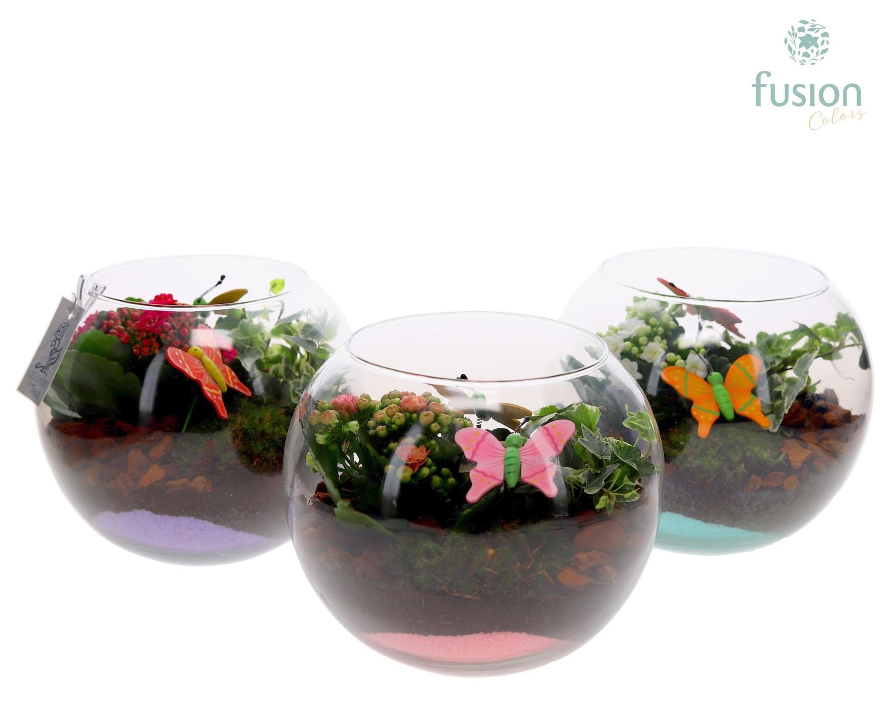 Glazen vissenkom met Arrangement, D 19