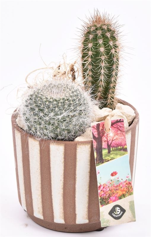 Keramiek safari look 11cm, D 11