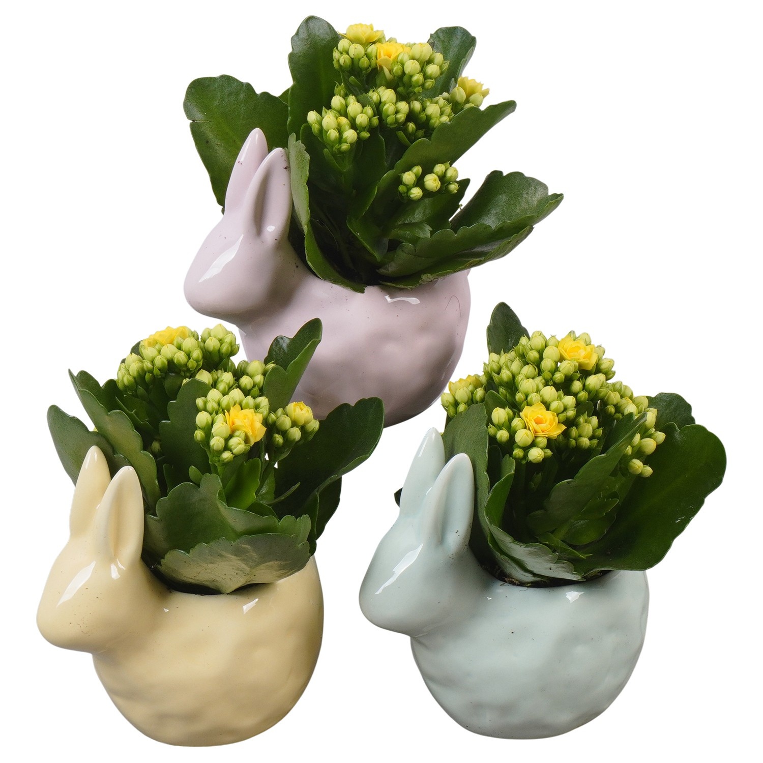 PTPB6620 Arrangement Easter in keramiek konijn, D 12