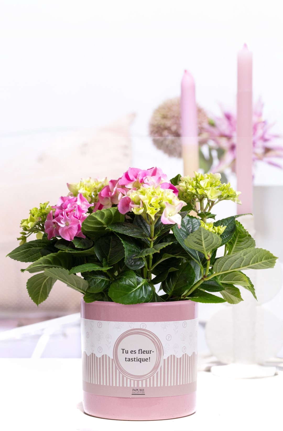 Hydrangea pink in P&P cadeau concept: TU ES FLEURTASTIQUE!, D 10