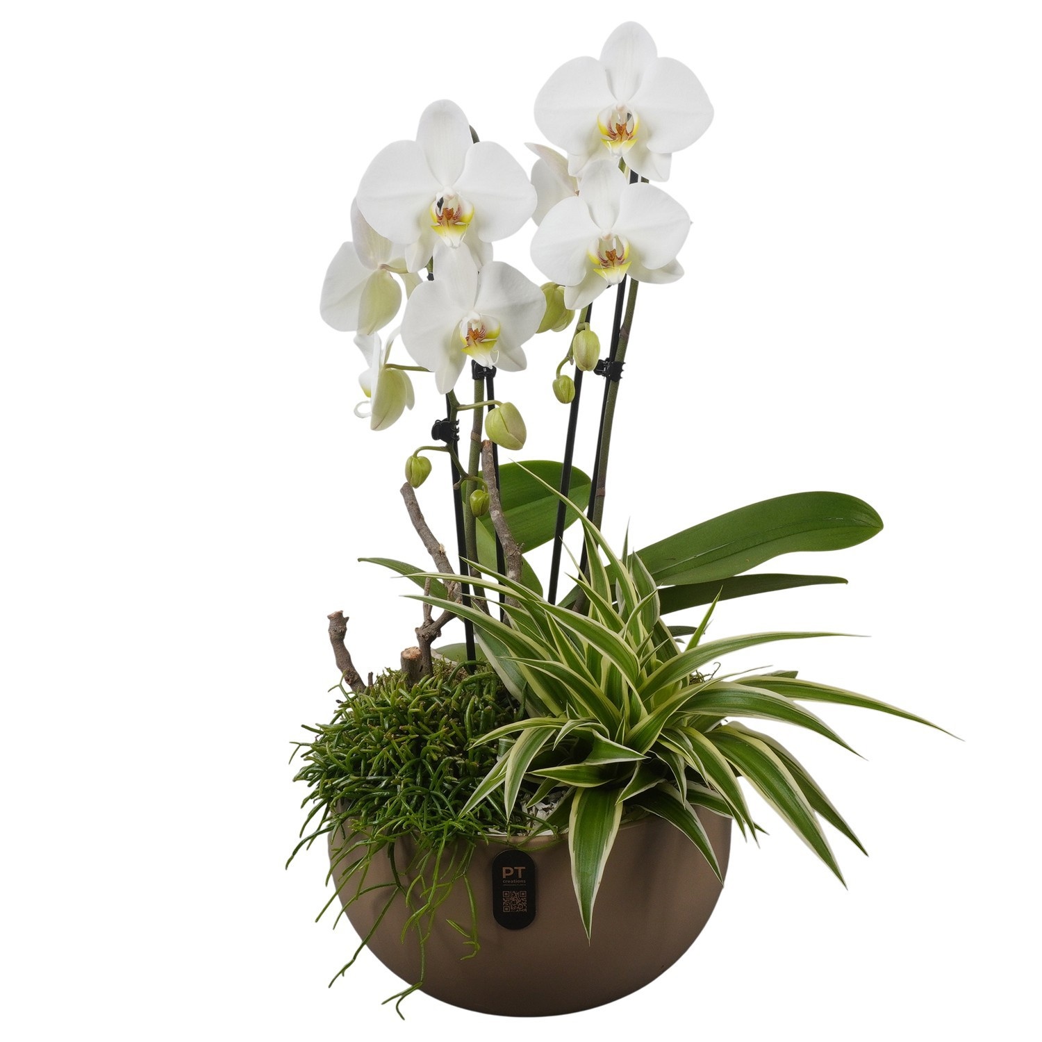 PTIB5166 Arrangement Indoor in keramiek schaal, D 26