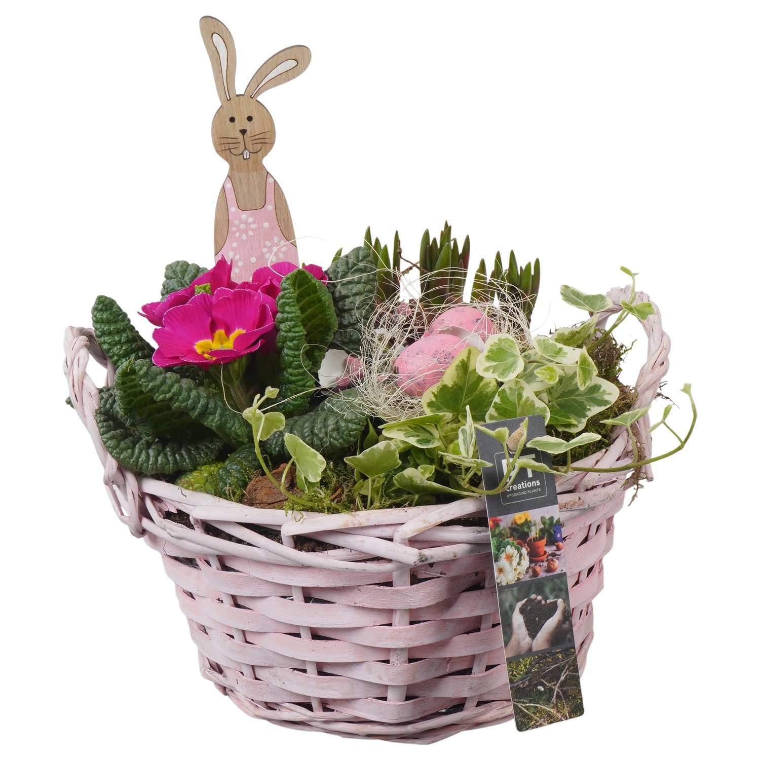 PTBMP5698 Arrangement Easter Bulbs Mix in rieten mand, D 20
