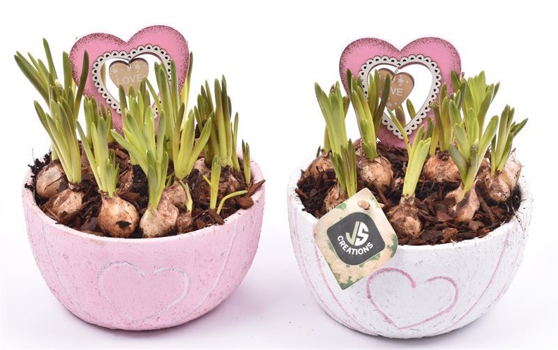 Cement schaal hart decor mix 16cm, D 16