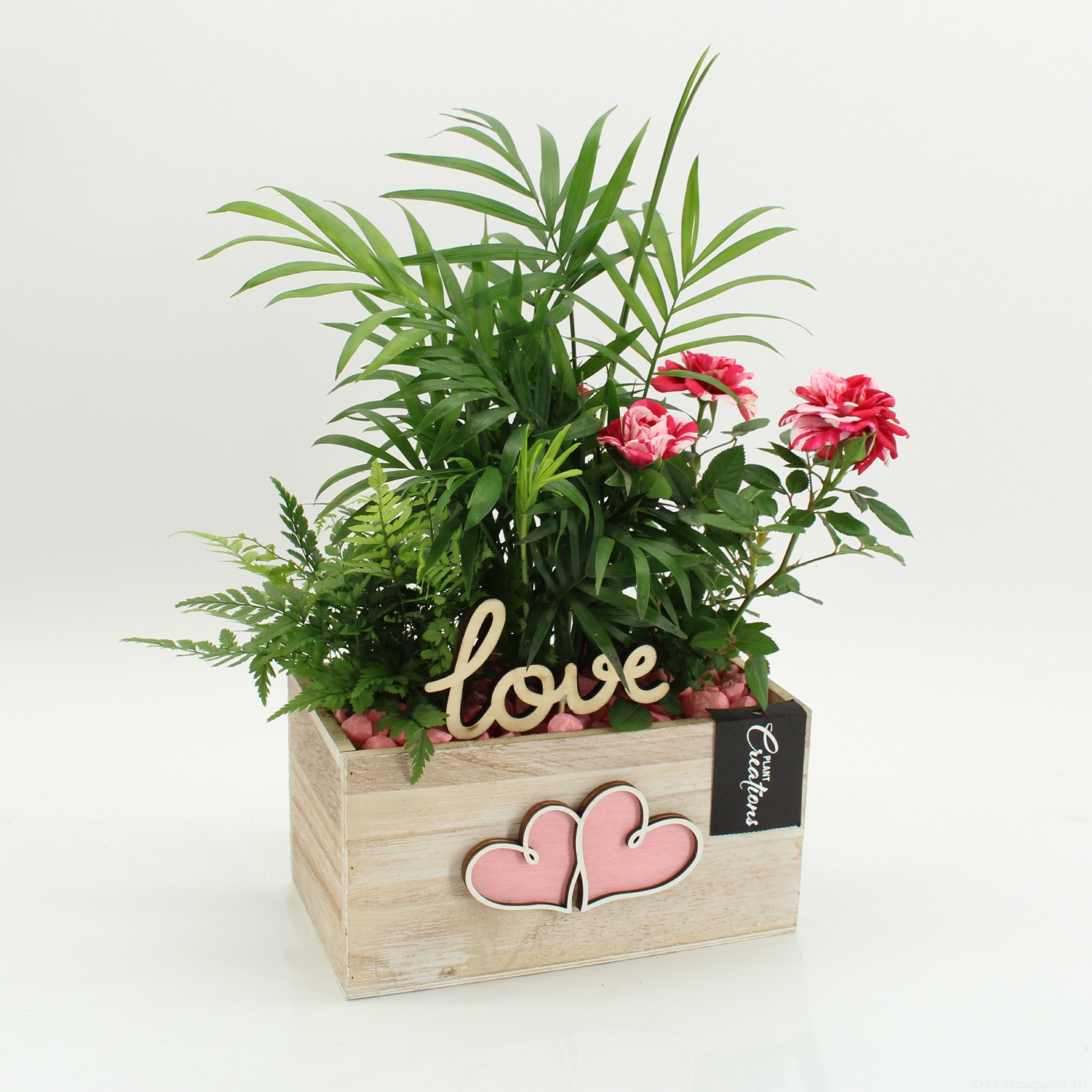 RMCR-2608 Romantic Essentials, D 20