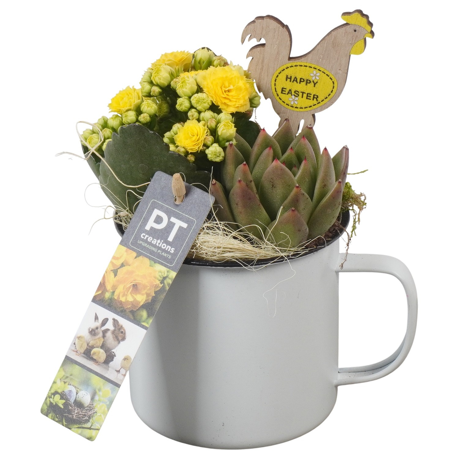 PTPB6436 Arrangement Easter in zink pot, D 10