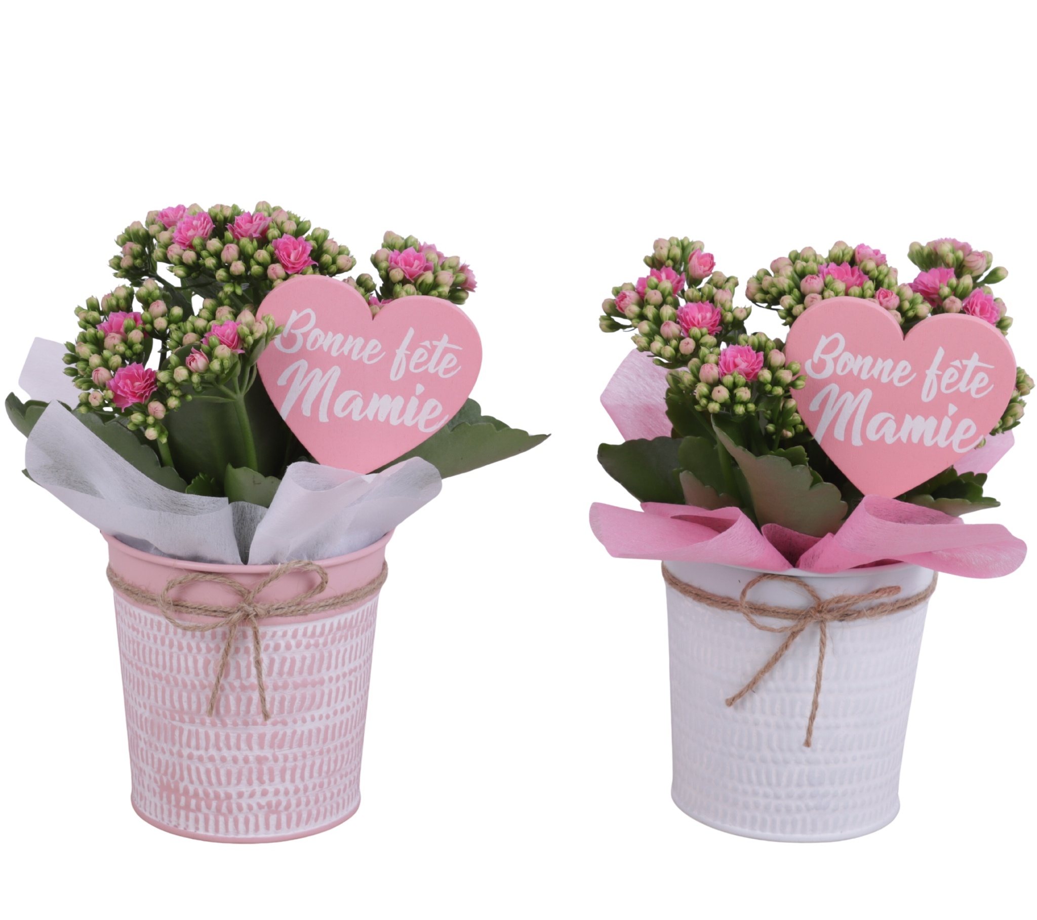 Grandmothers Day Arr. Indoor Zinc Pot Round Pink/White Ø10cm 1PP, D 10