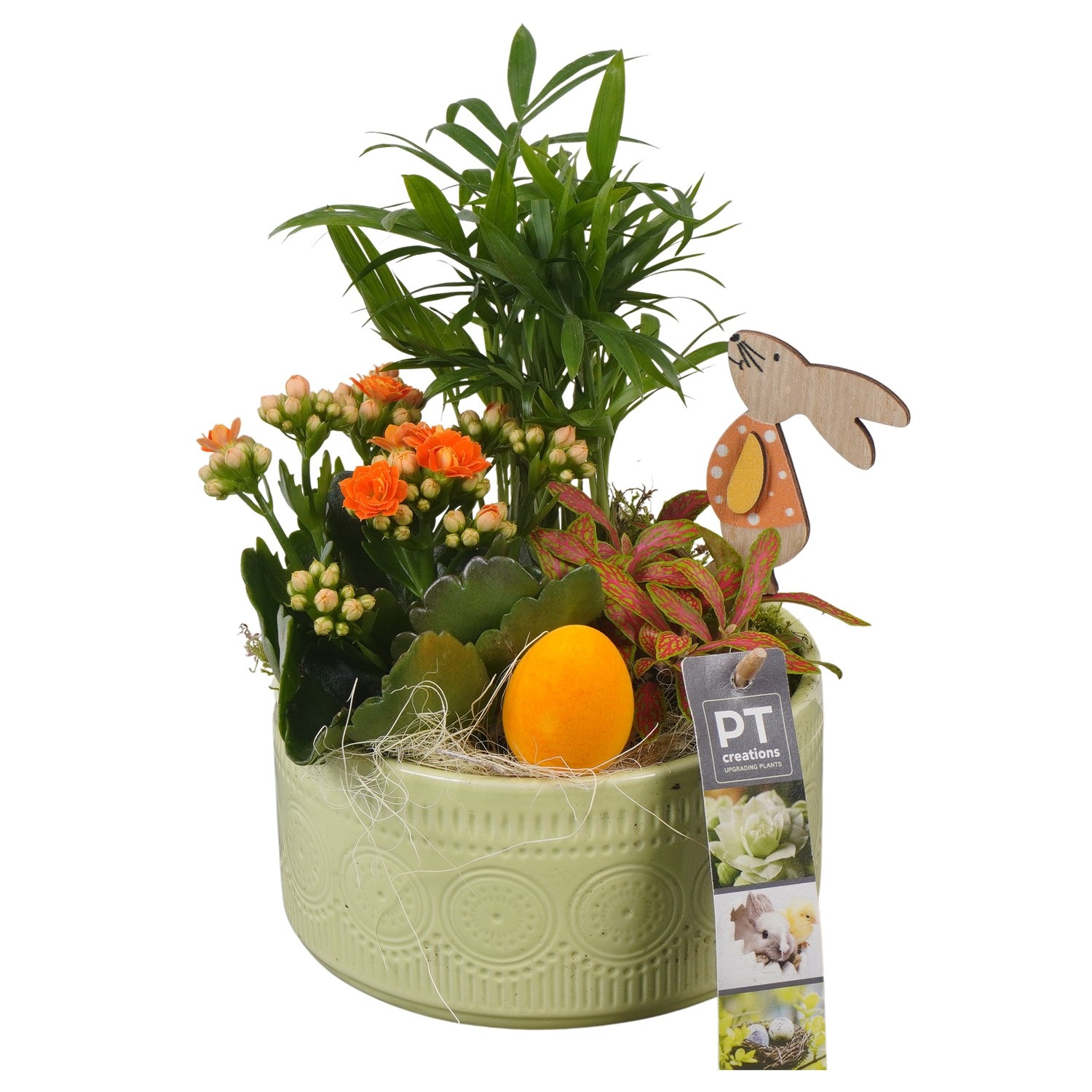 PTPB6469 Arrangement Easter in keramiek schaal, D 15