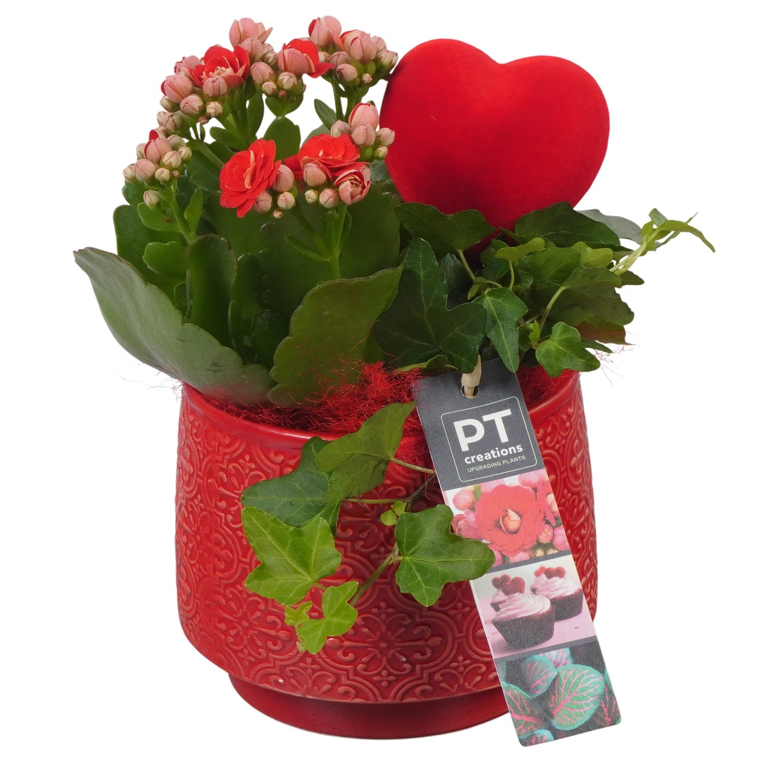 PTVMB2229 Arrangement Valentines-Mothersday in keramiek sierpot, D 13