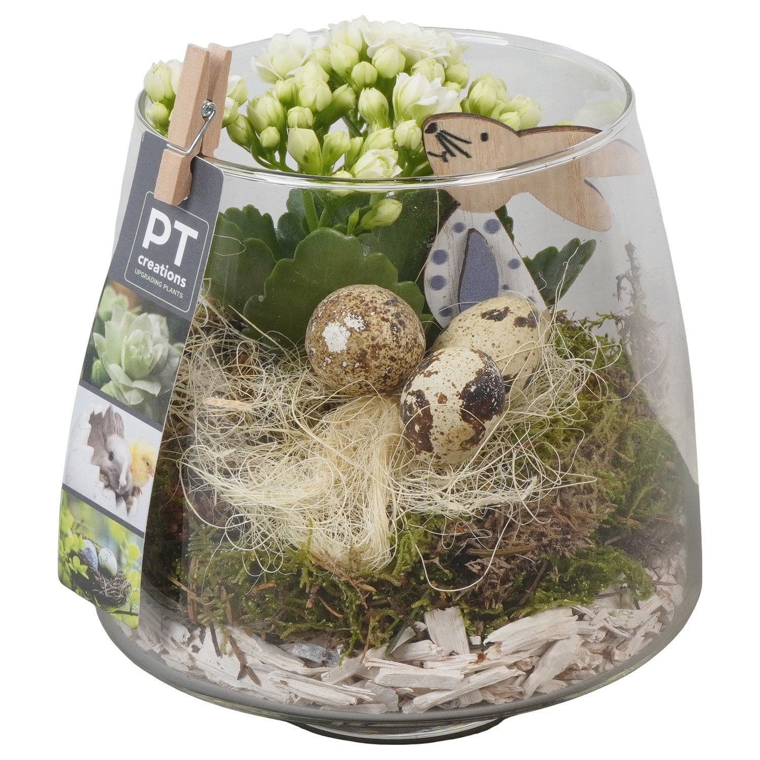 PTPG9371 Arrangement Easter in glas vaas, D 14