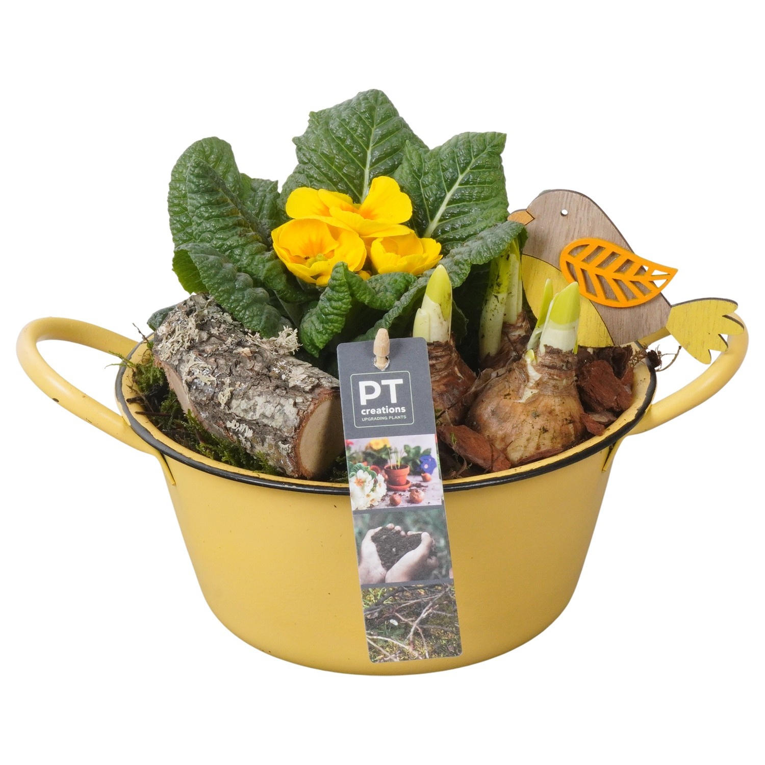 PTBM3725 Arrangement Flower Bulbs Mix in metalen schaal, D 19