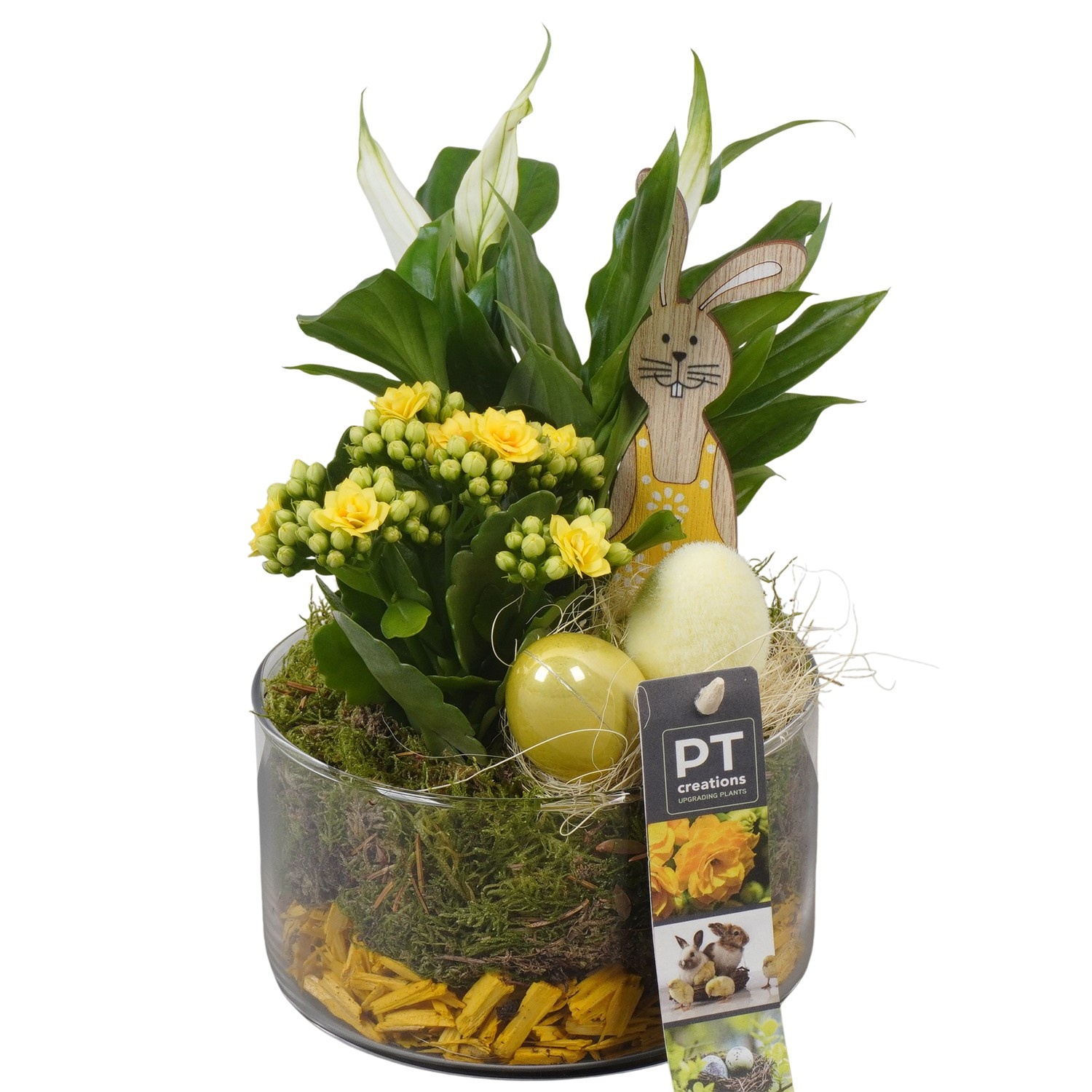 PTPG9324 Arrangement Easter in glas vaas, D 14