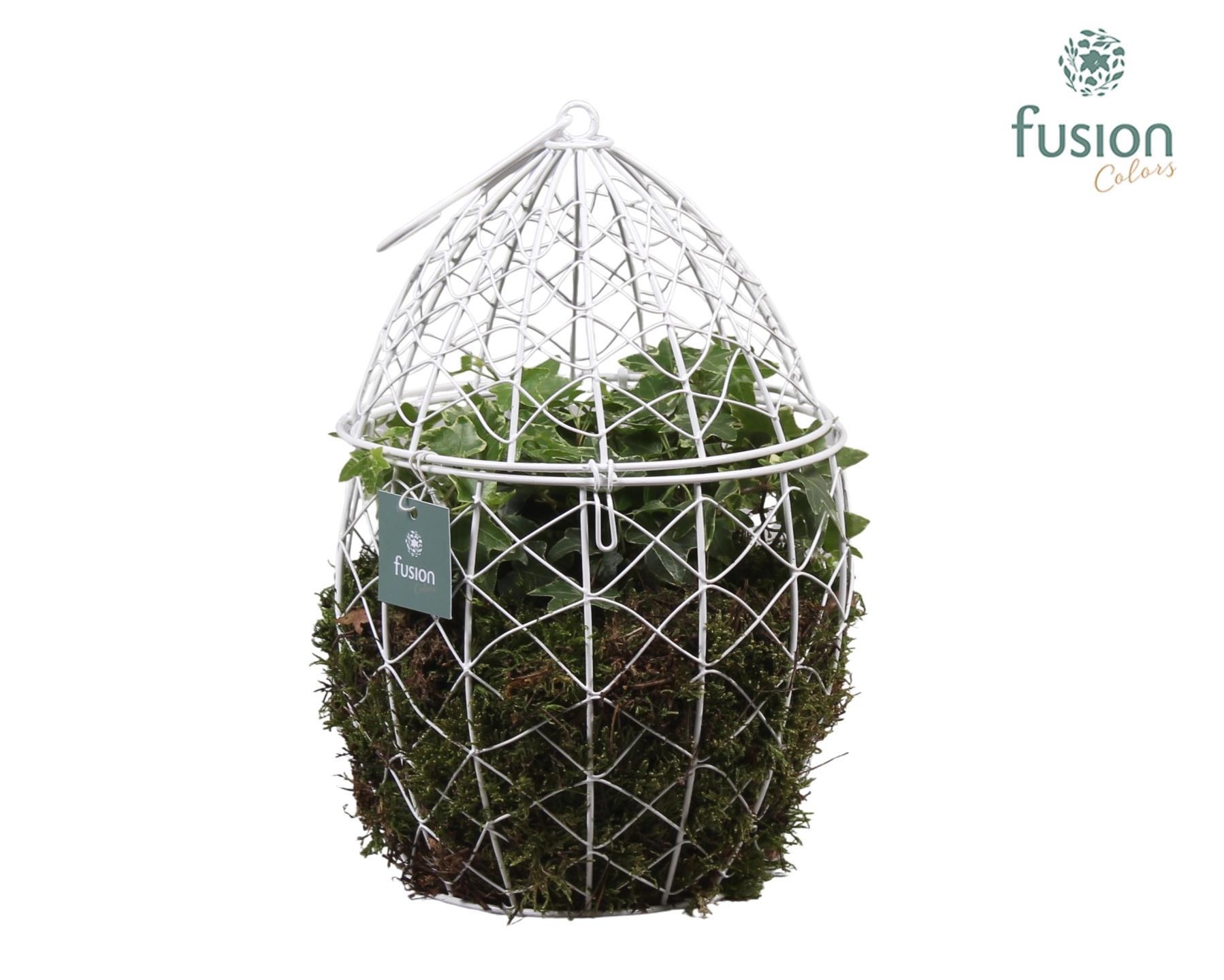 Metaal Ei groot met Hedera, D 19