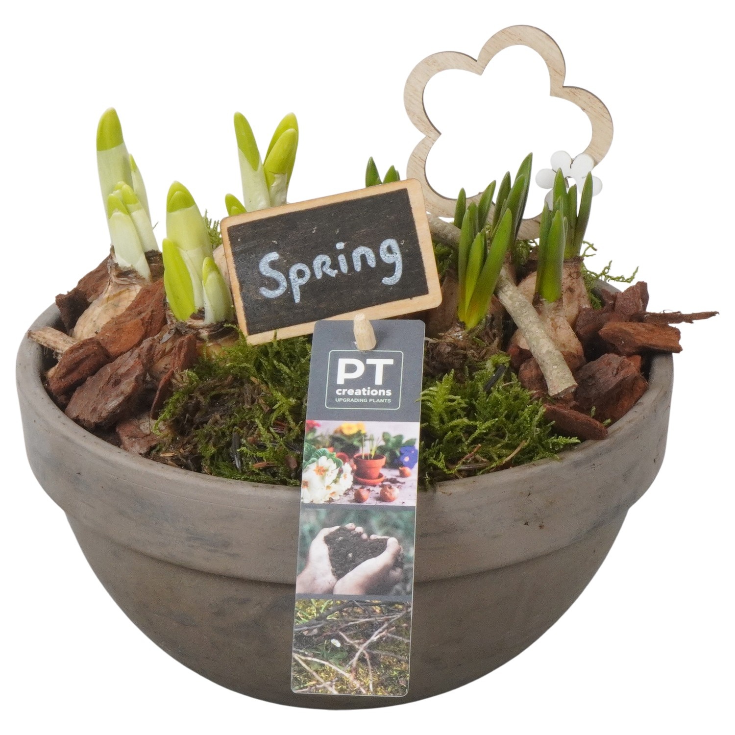 PTBM3874 Arrangement Flower Bulbs Mix in terracotta schaal, D 19