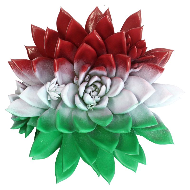 Miranda coloured flag Hungary, D 10,5