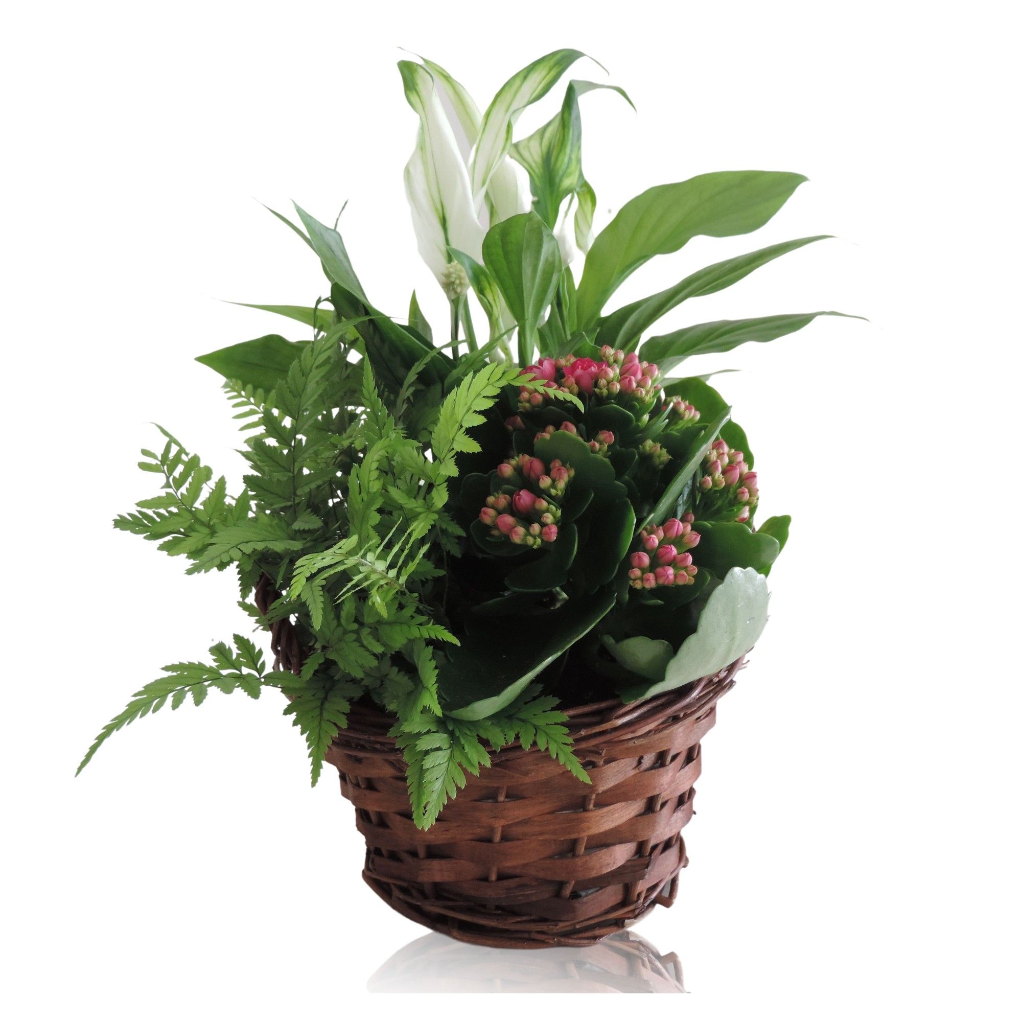Collectie Hanoi Arrangement in Mand 19 cm, D 19