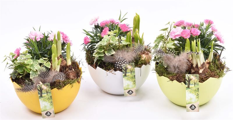 Kunsstof eischaal 17cm, D 17