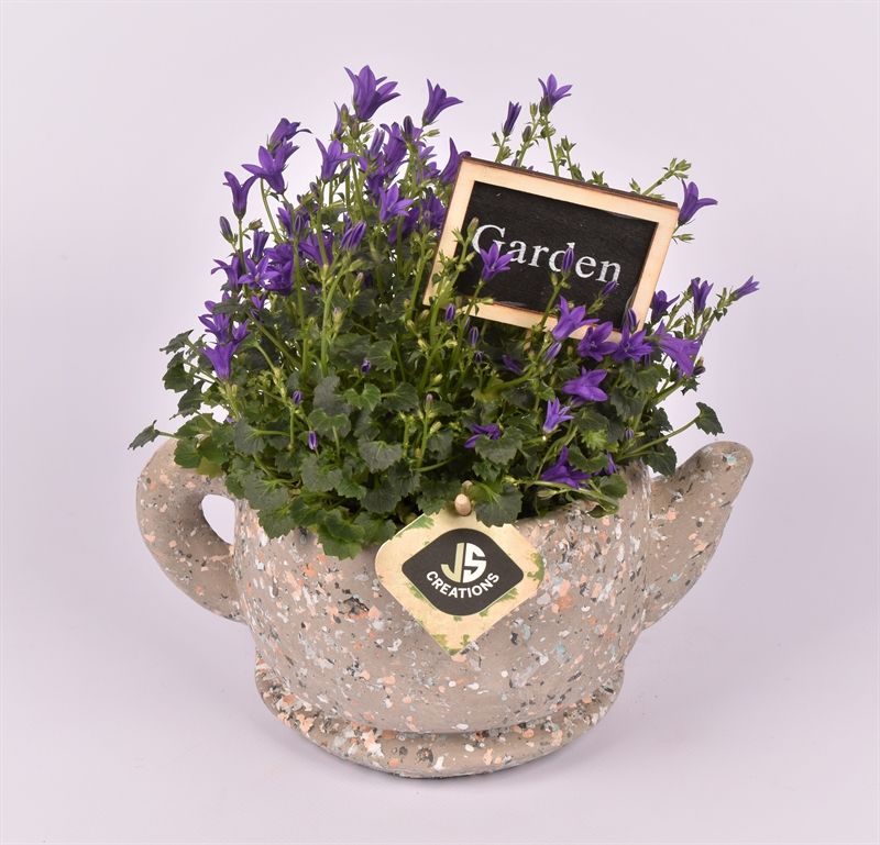 Cement theepot 22cm, D 22