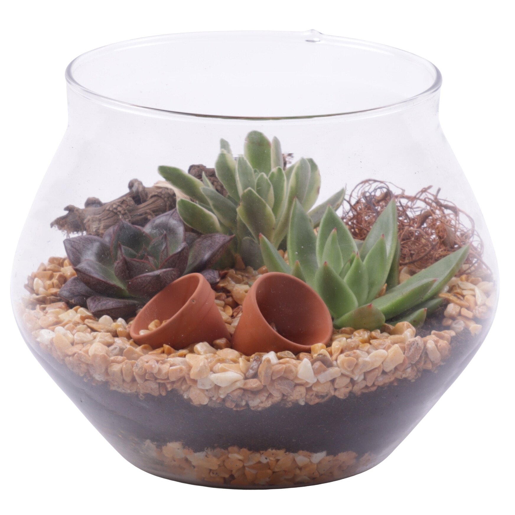 Yearround Arr. Succulent Glass UFO Vase Ø20cm 3PP, D 20