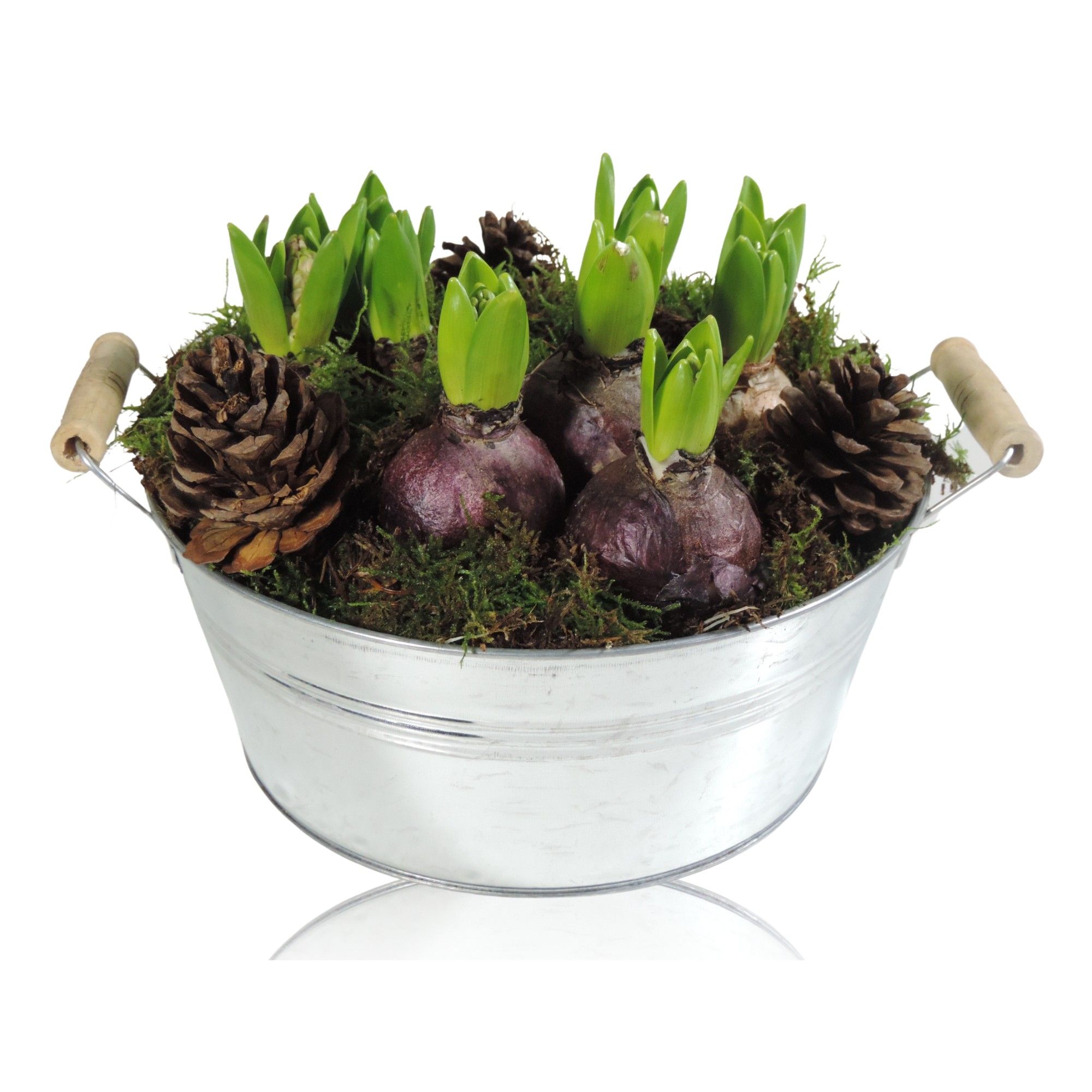 Arrangement Hyacint in Zinken schaal 25 cm, D 25