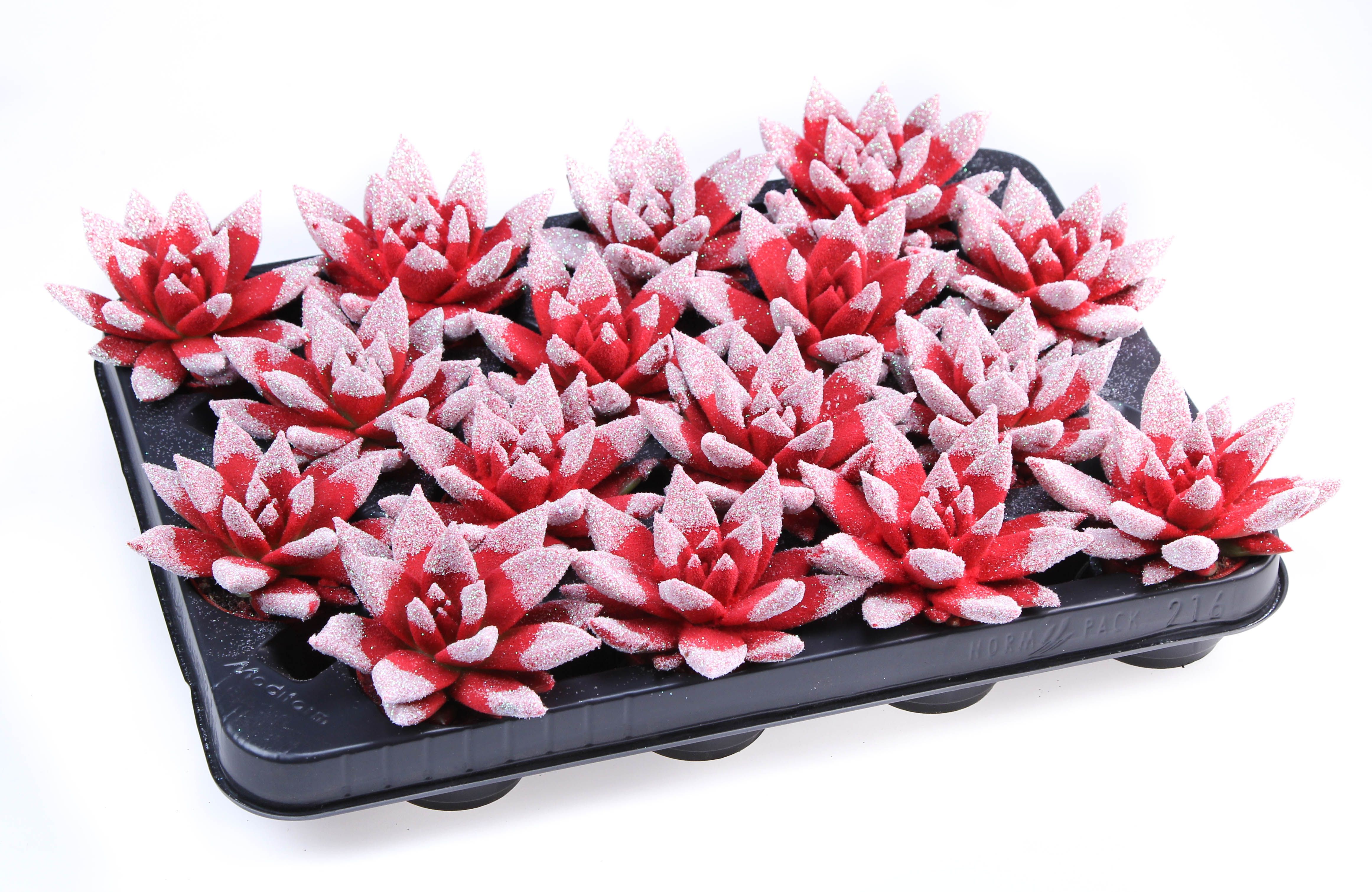 Velvet glittertips White, D 6,5