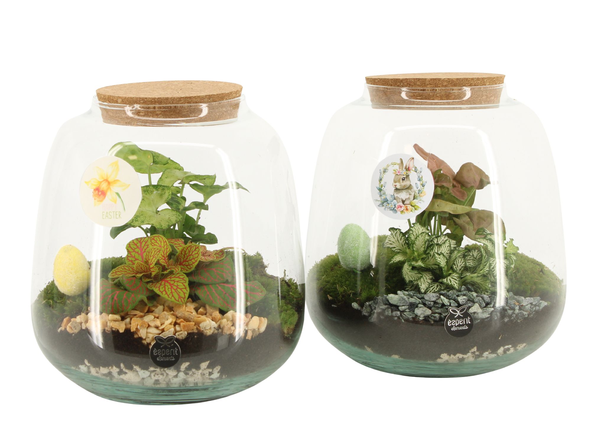 70889: Easter terrarium, D 19