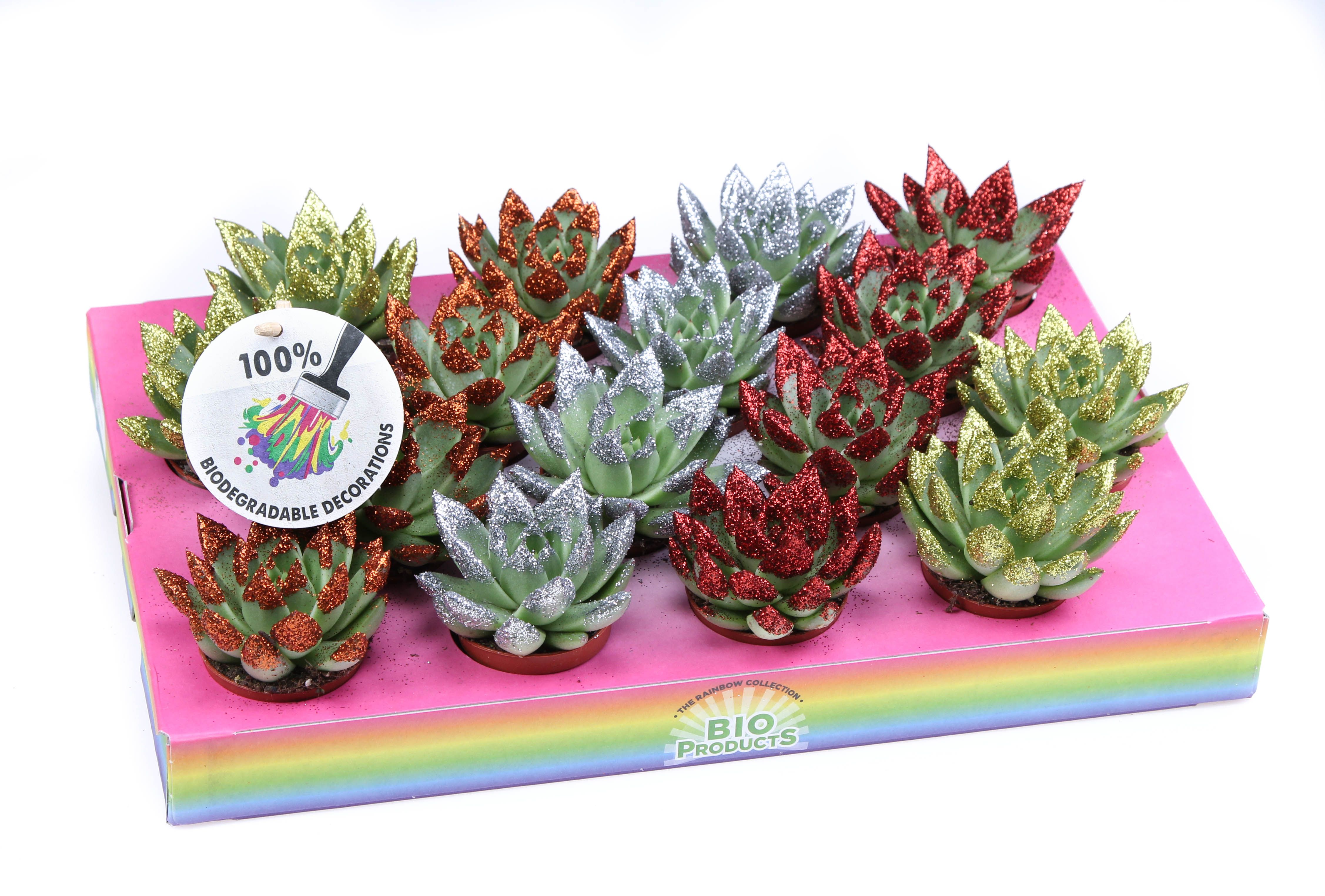 Miranda bio glittertips, D 6,5