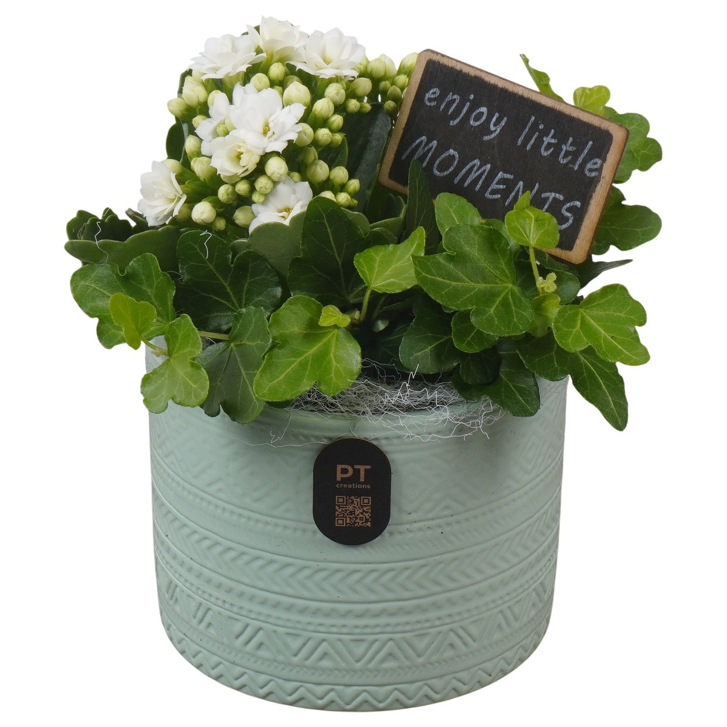 PTIB5179 Arrangement Indoor in keramiek pot, D 10