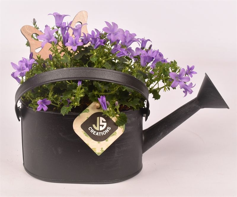 Zink gieter grijs 23x11cm, D 15