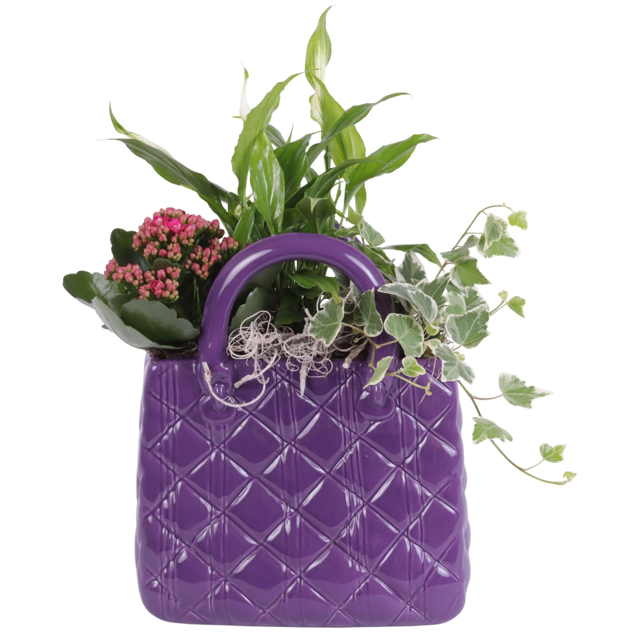 Yearround Arr. Indoor Ceramic Designer Handbag Purple Ø22cm 3PP, D 20