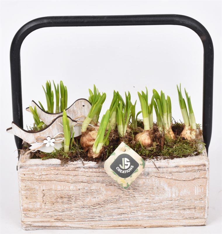 Hout rechthoek met hendel 26x11cm, D 26